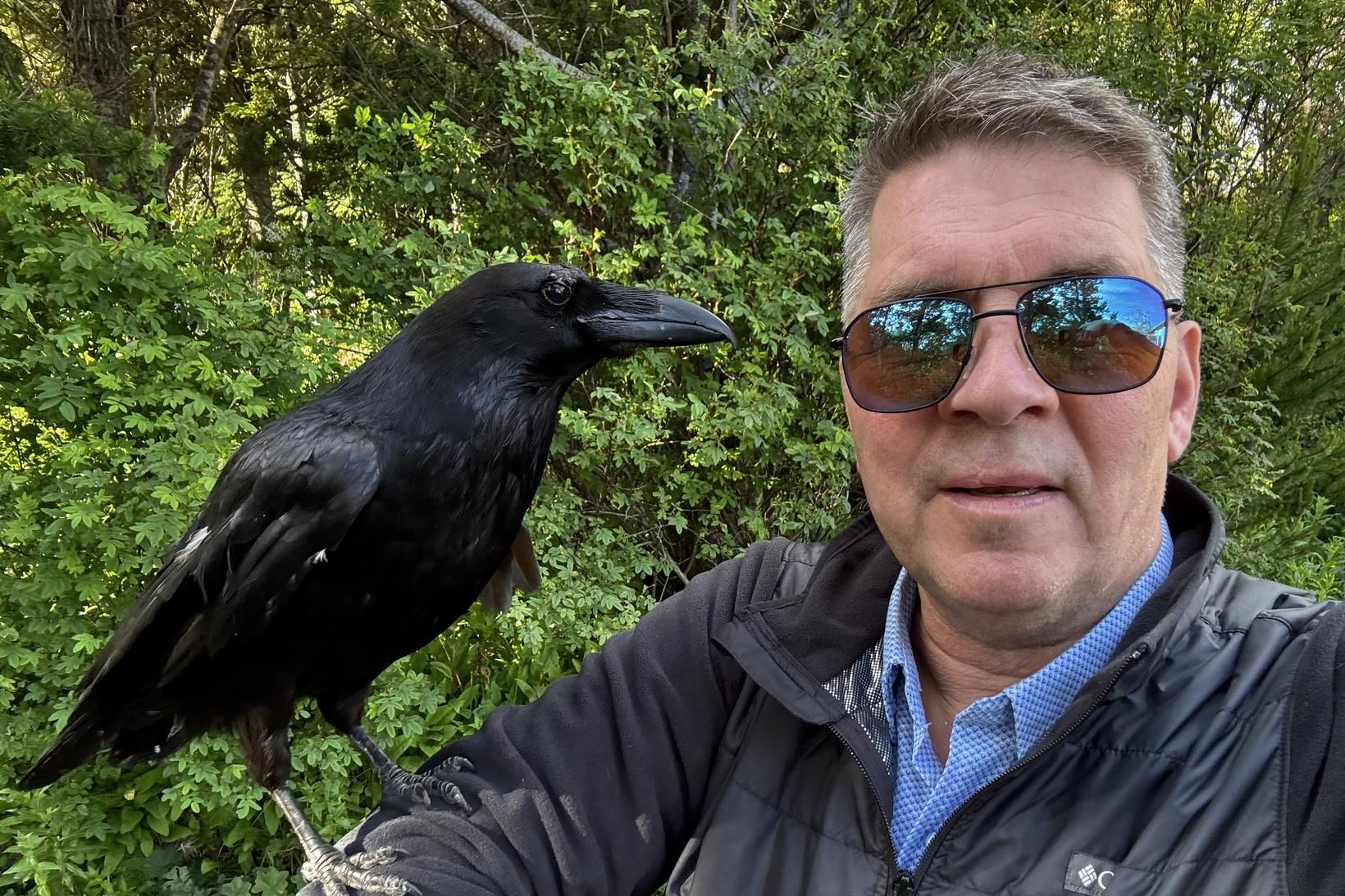 Hrafninn Dimma geltir og virðist lofthrædd