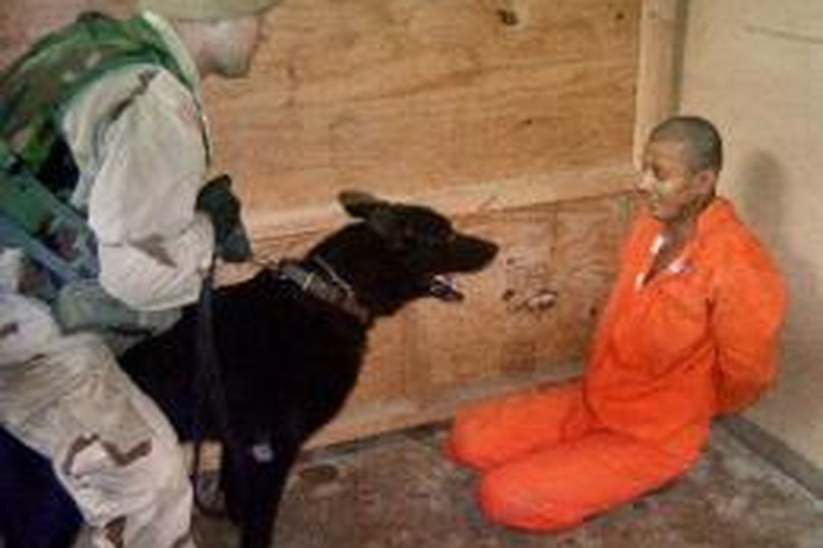 Fanga í Abu Ghraib fangelsinu ógnað með hundi.
