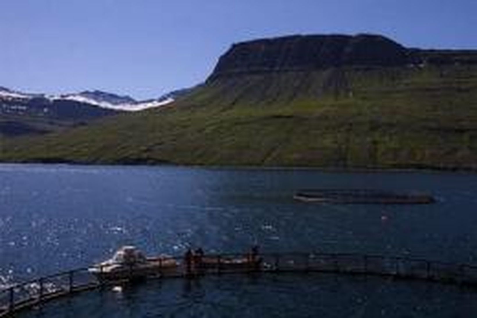 Laxeldiskvíar í Mjóafirði. Myndin tengist fréttinni ekki.