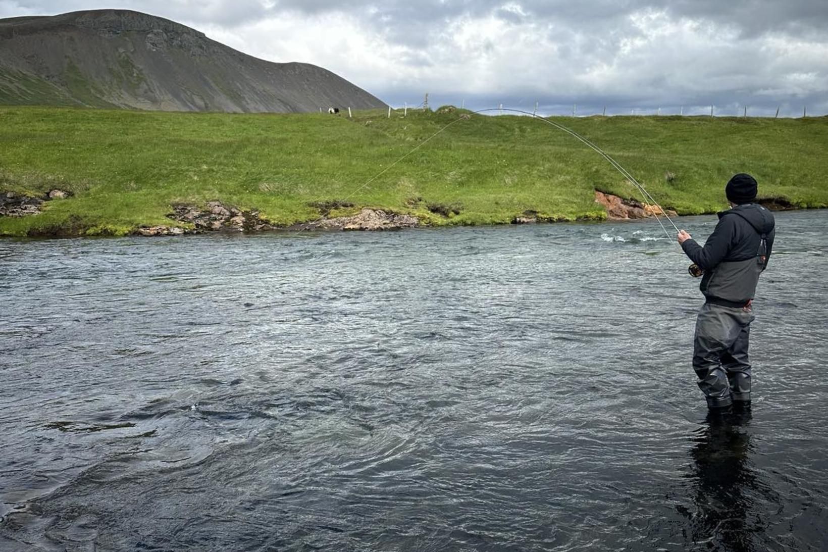 Hásumar í Svalbarðsá. Lax hefur tekið neðarlega í Klapparhyl. Svalbarðsá …