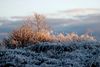 Frost fór í 27 stig – snjóar á gamlársdag