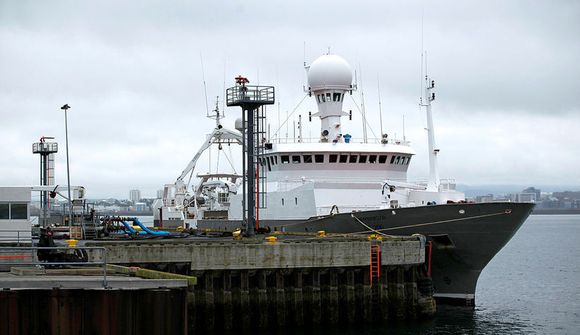 Of snemmt að segja til um stærð loðnuvertíðarinnar