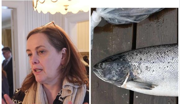 Fjölgar eftirlitsmönnum: „Mjög alvarleg atvik“