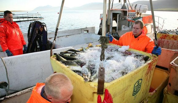 „Á að hengja bakara fyrir smið“