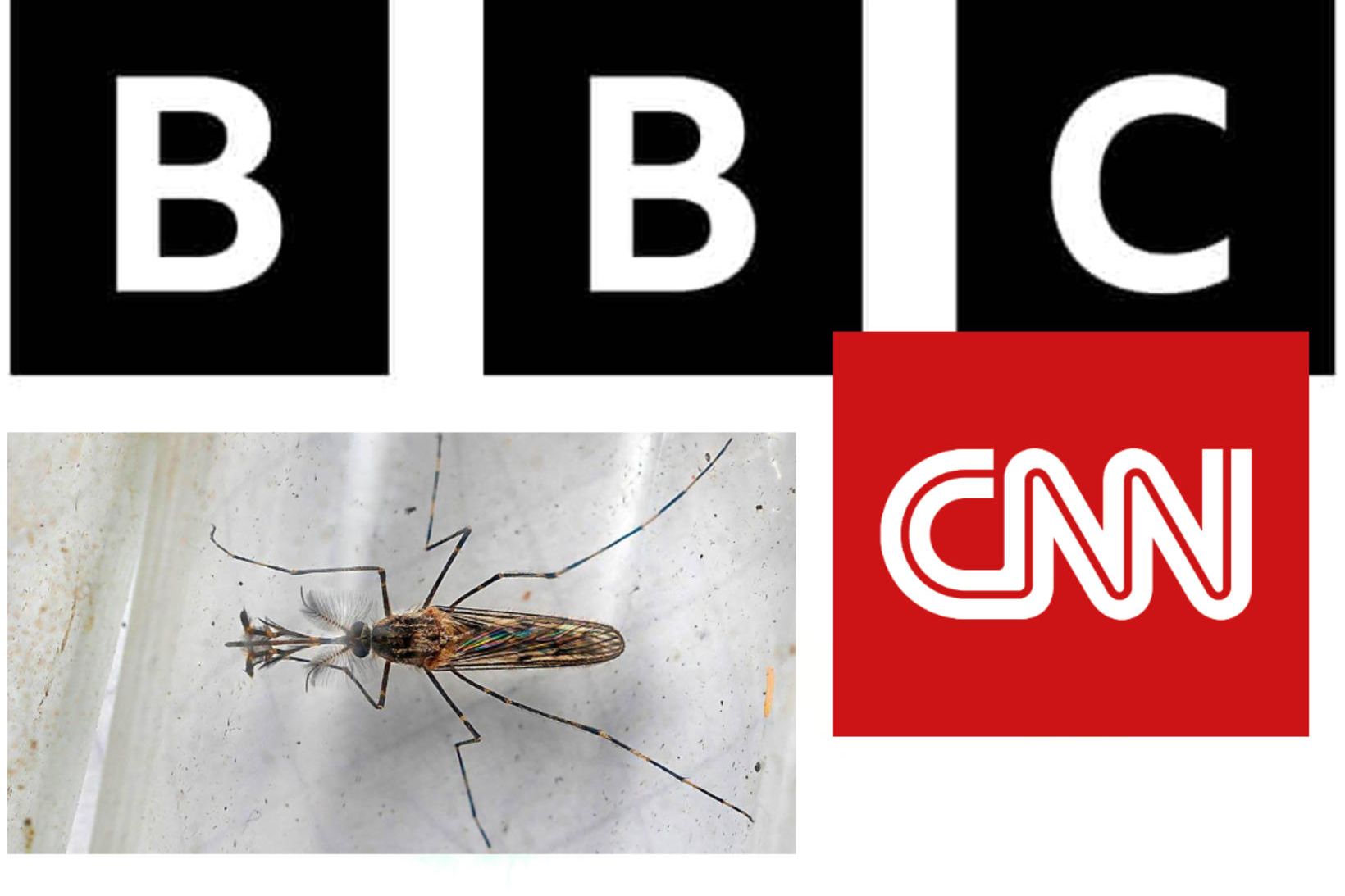 Meintar moskítóflugur reyndust forarmý