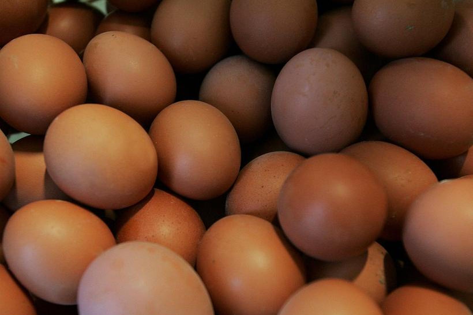 Á innflutt egg er lagður 30% verðtollur, auk 208-390 króna …