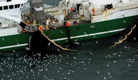 Skip sigla með loðnu til Noregs