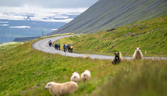 Hjóla þúsund kílómetra umhverfis Vestfirði