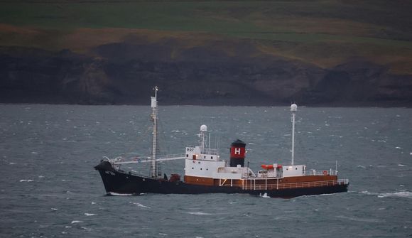Sigla með langreyðarnar til hafnar í Hvalfirði