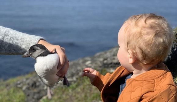 Óvæntur gestur tók forskot á þjóðhátíð