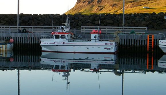 Eydís eini báturinn með hákarl á strandveiðum