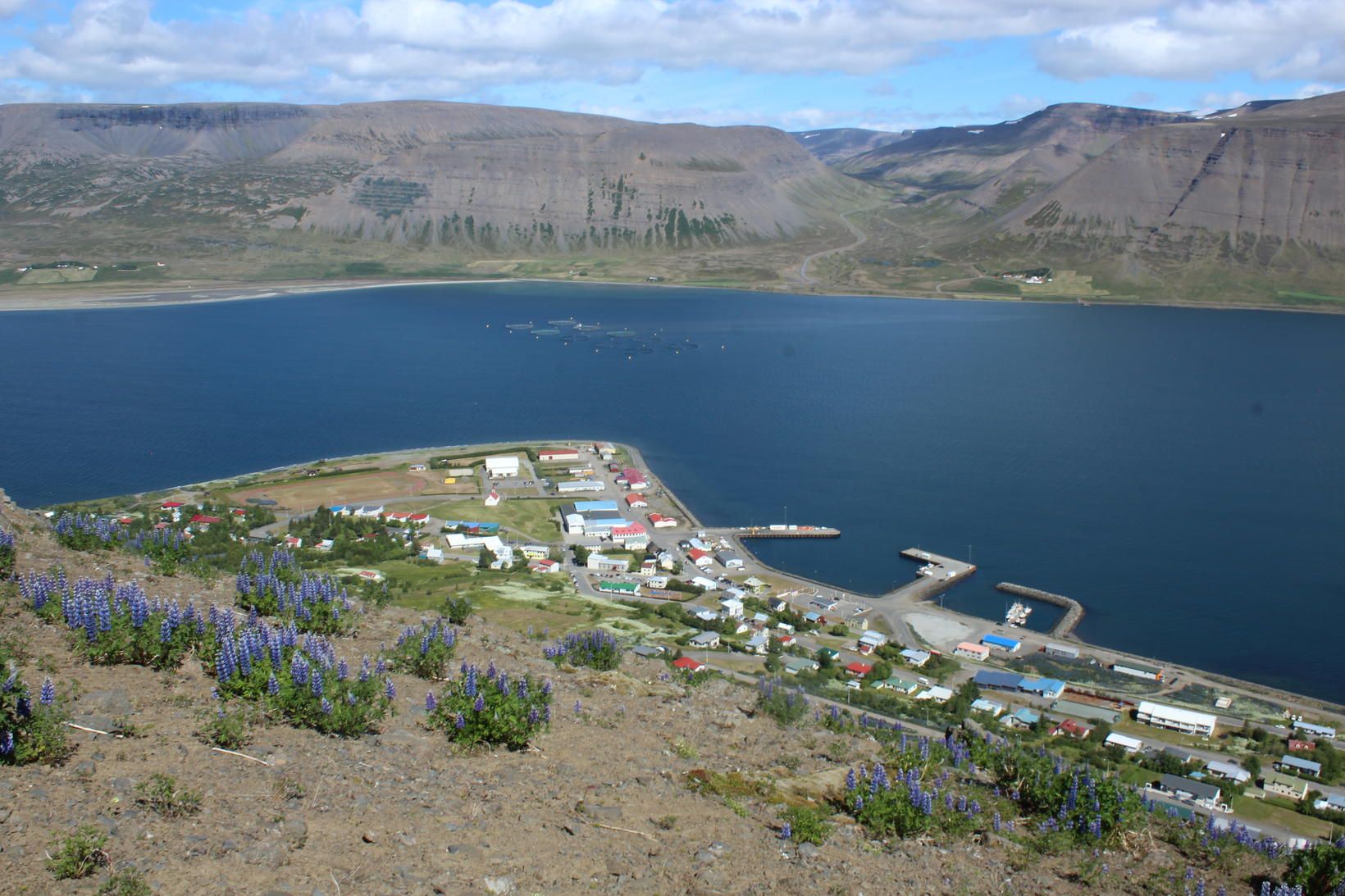 Fólk sem er í sóttkví eða einangrun á Þingeyri getur …