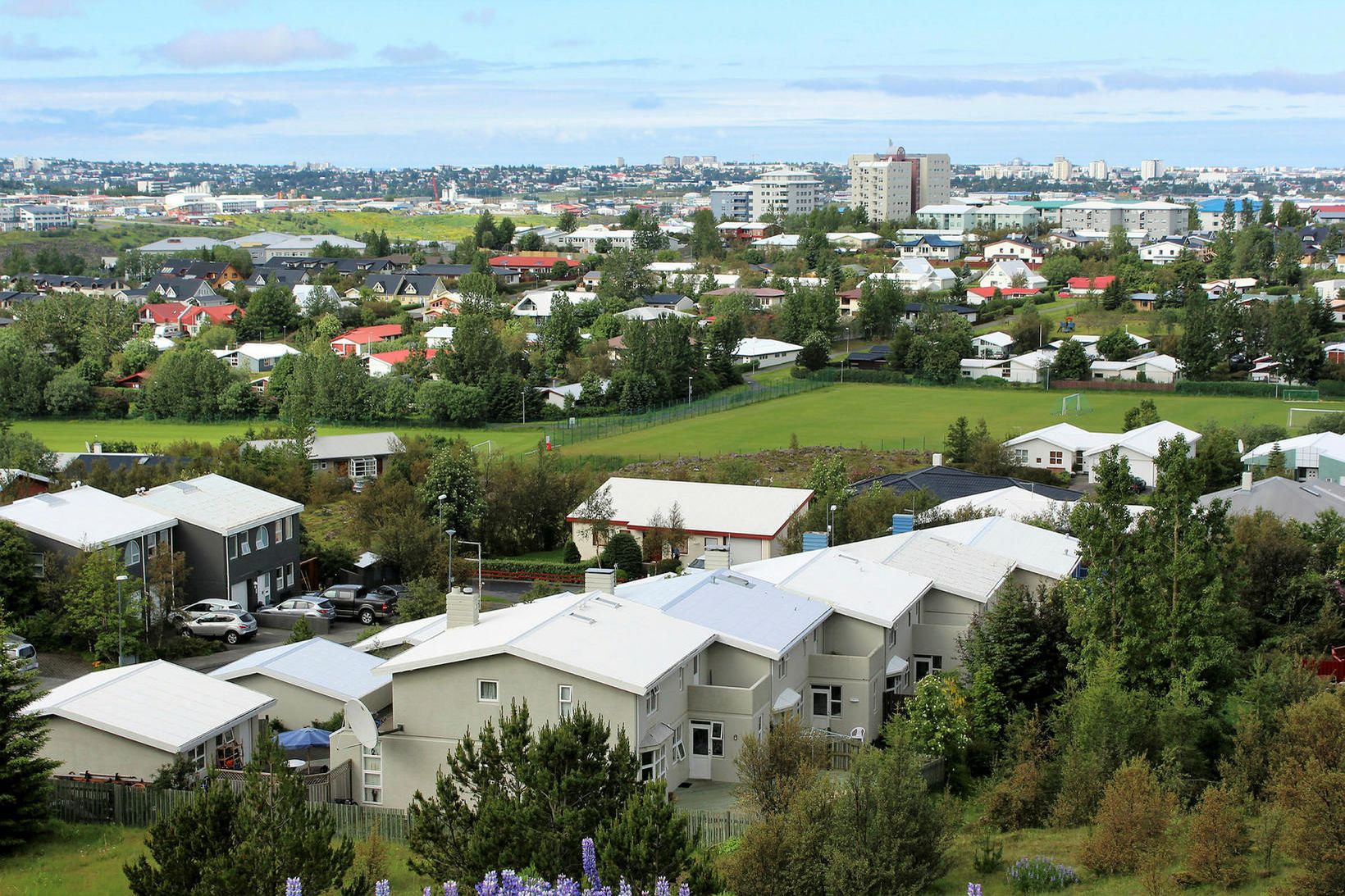 Maðurinn hefur tvisvar áður hlotið dóm fyrir ósæmilega hegðun í …