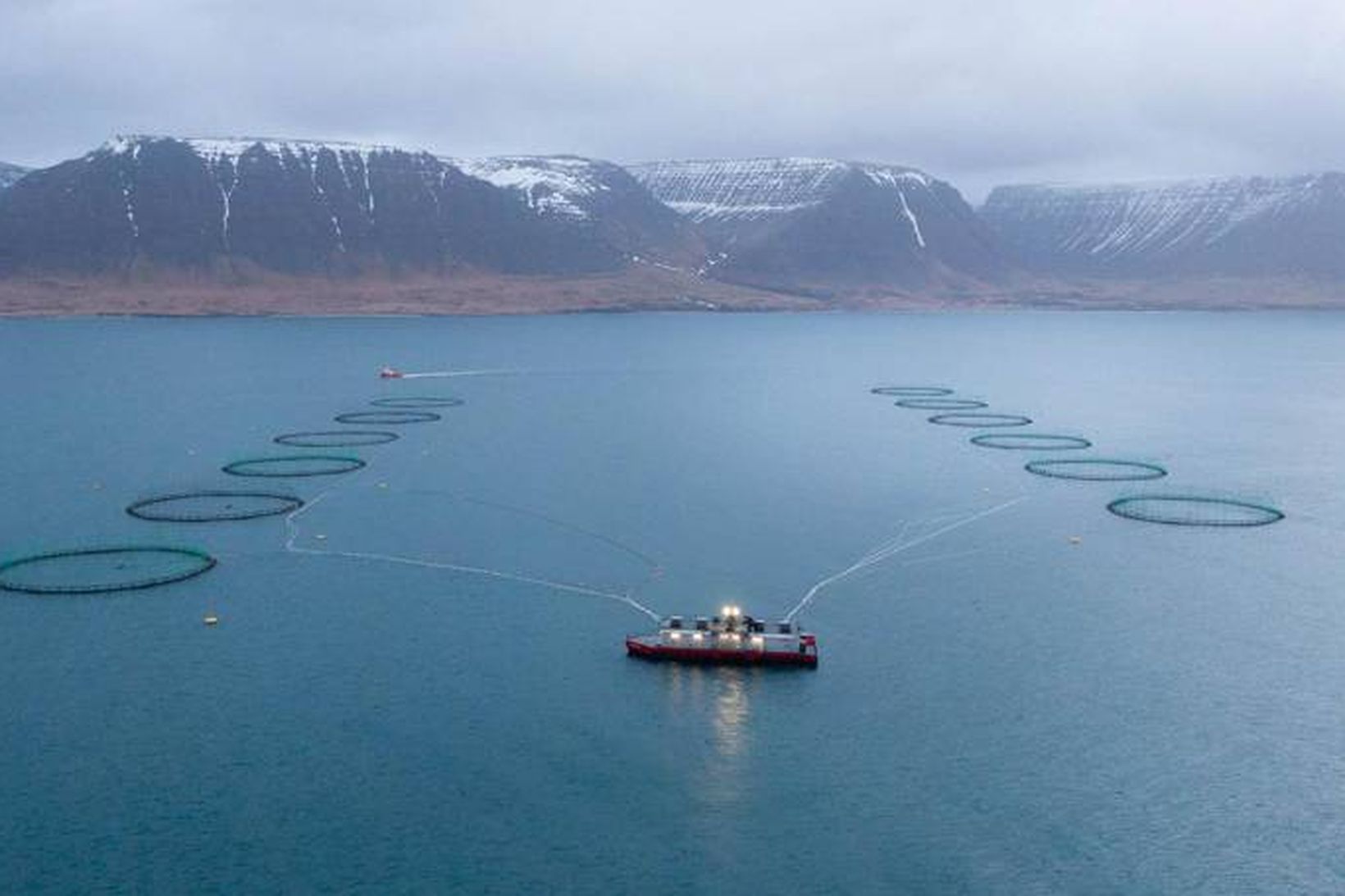 Arctic Fish hefur ákveðið að gera fjölbreytt gögn um starfsemi …