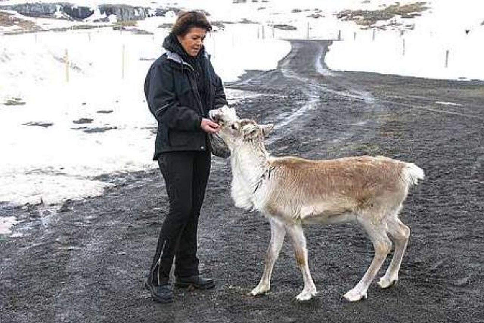 Dagbjört Briem Gísladóttir og Líf.