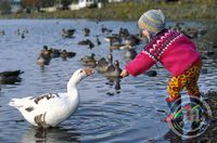 Við Tjörnina í Hafnarfirði