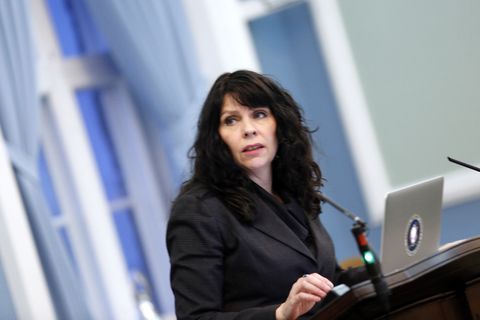 Pirate captain Birgitta Jónsdóttir.