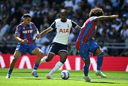 Mathys Tel í leik með Tottenham.
