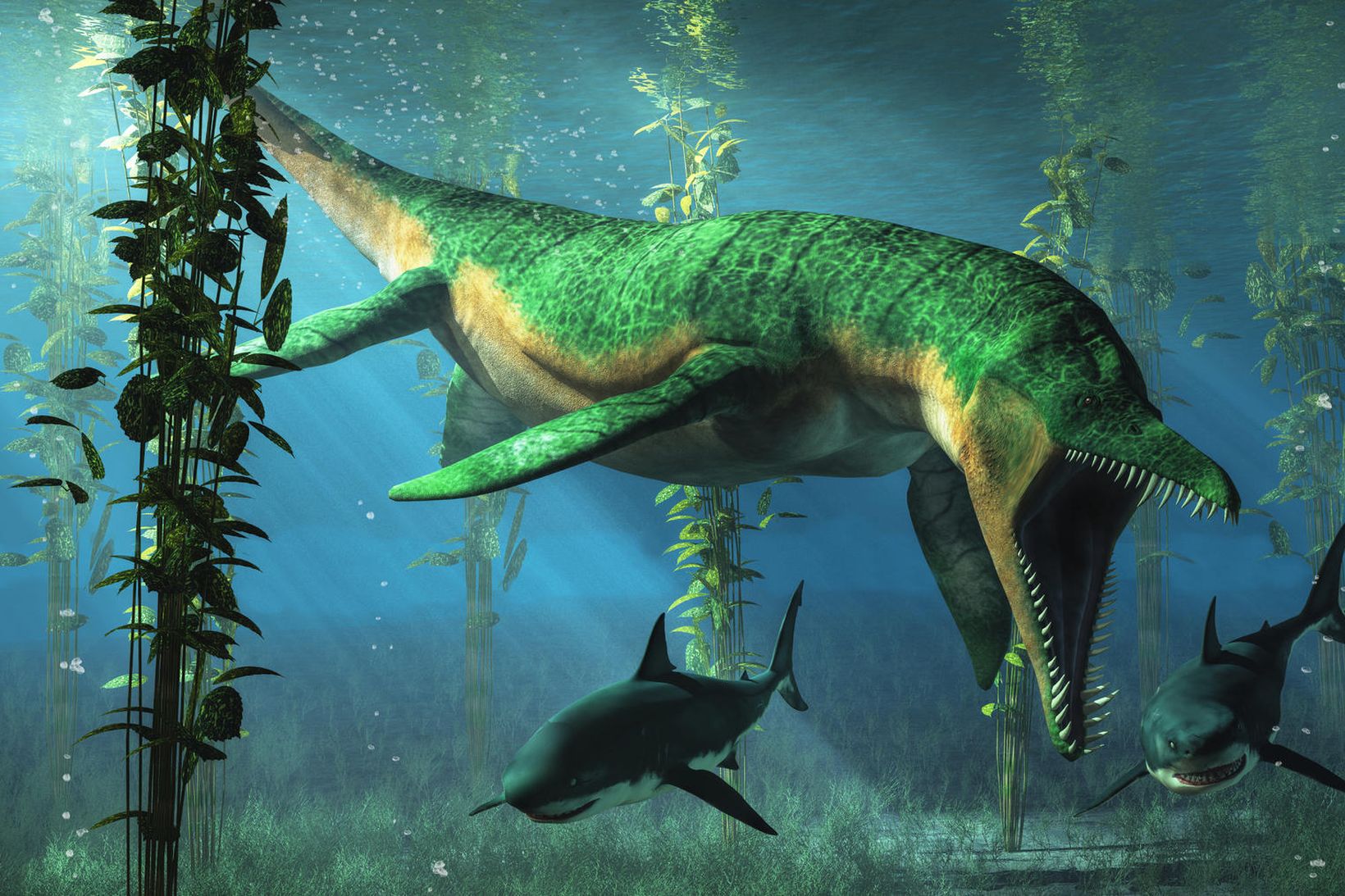 Plíosaurus var einn helsti ógnvaldur hafsins á árum áður.