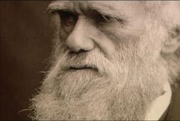 Charles Darwin hlaut á fimmta þúsund atkvæða þó látinn væri fyrir 130 árum. .