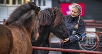 Ólöf Helga Hilmarsdóttir synnir hrossum í Víðidal