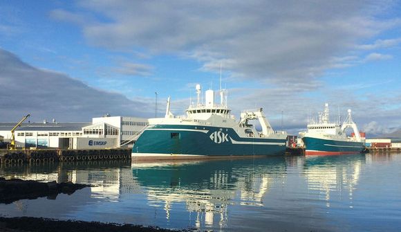 Hafa landað 485 tonnum á Sauðárkróki