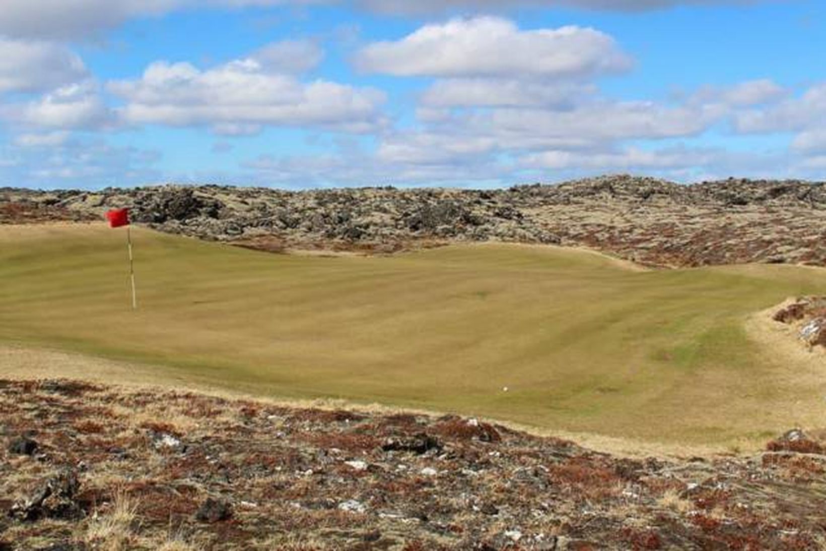 Flatirnar þykja koma einkar vel undan vetri í Grindavík. Kylfingar …