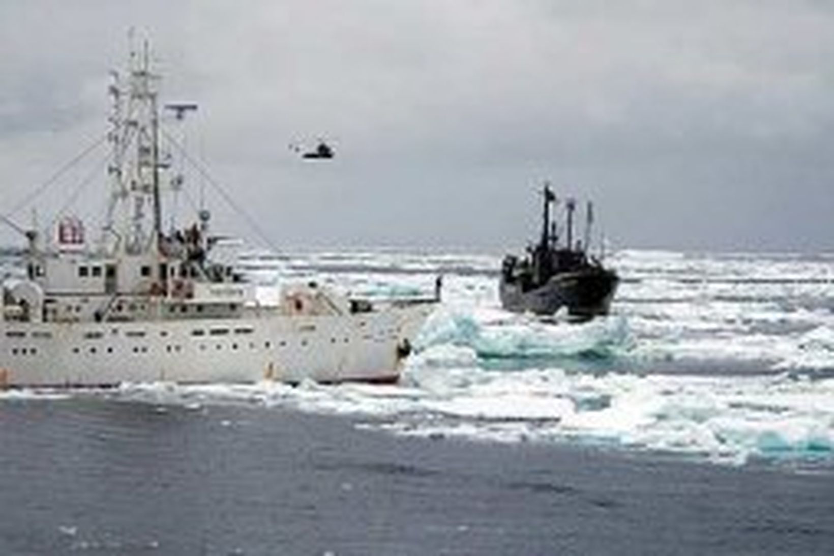 Farley Mowat, skip Sea Shepherd, ásamt japönsku hvalveiðiskipi á Suðurhöfum.