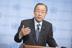 Ban Ki-moon, framkvæmdastjóri Sameinuðu þjóðanna, bættist í morgun í hóp þeirra sem fordæma aftökurnar í …