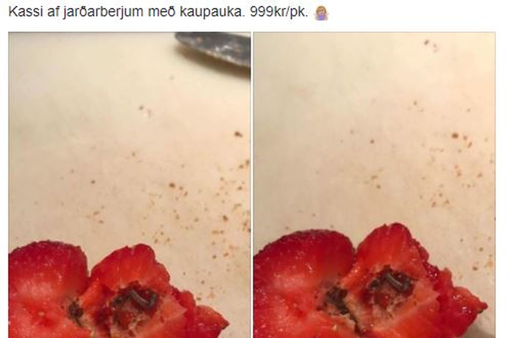 Lirfan var agnarsmá og umkringd eggjum.