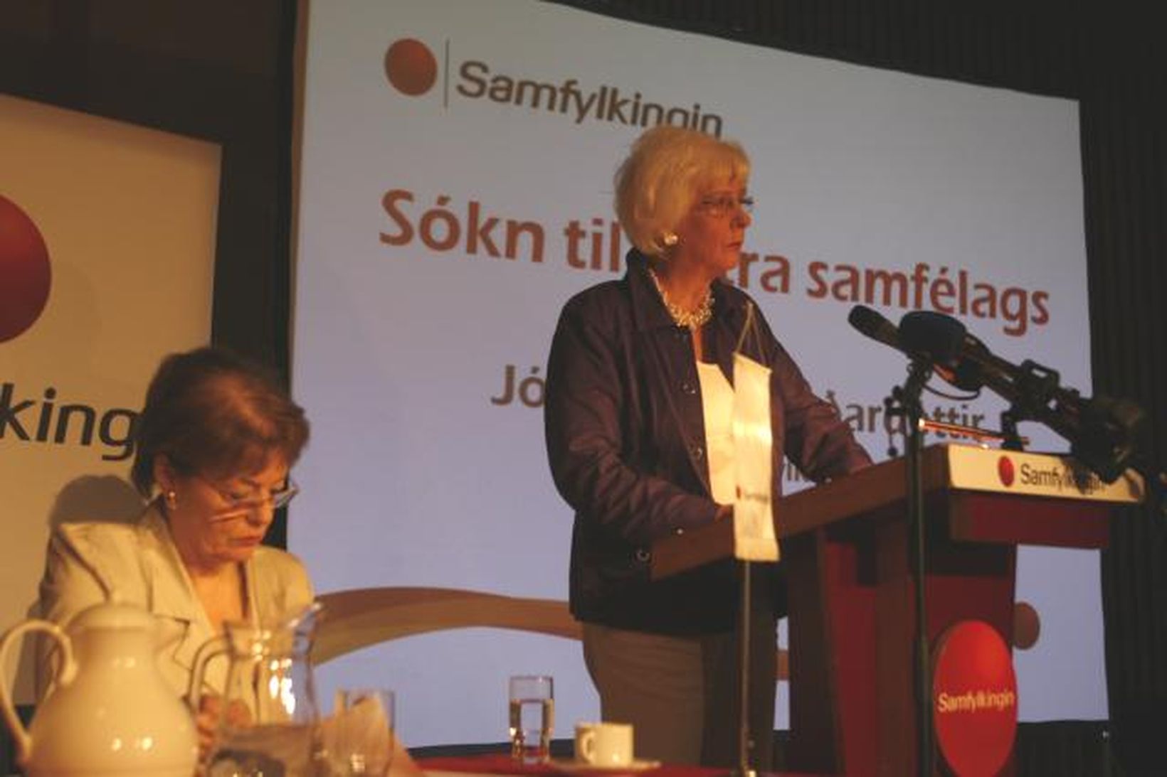 Jóhanna Sigurðardóttir, forsætisráðherra, ávarpar flokkstjórnarfund Samfylkingarinnar.