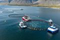 Fiskur Athafnasvæði laxeldisfyrirtækisins Arnarlax í Tálknafirði. Sharma segir að búast megi við að framleiðsla Íslendinga haldi áfram að vaxa.