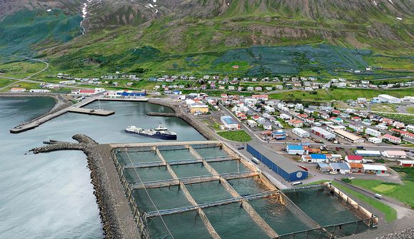 Stórfellt laxeldi áformað