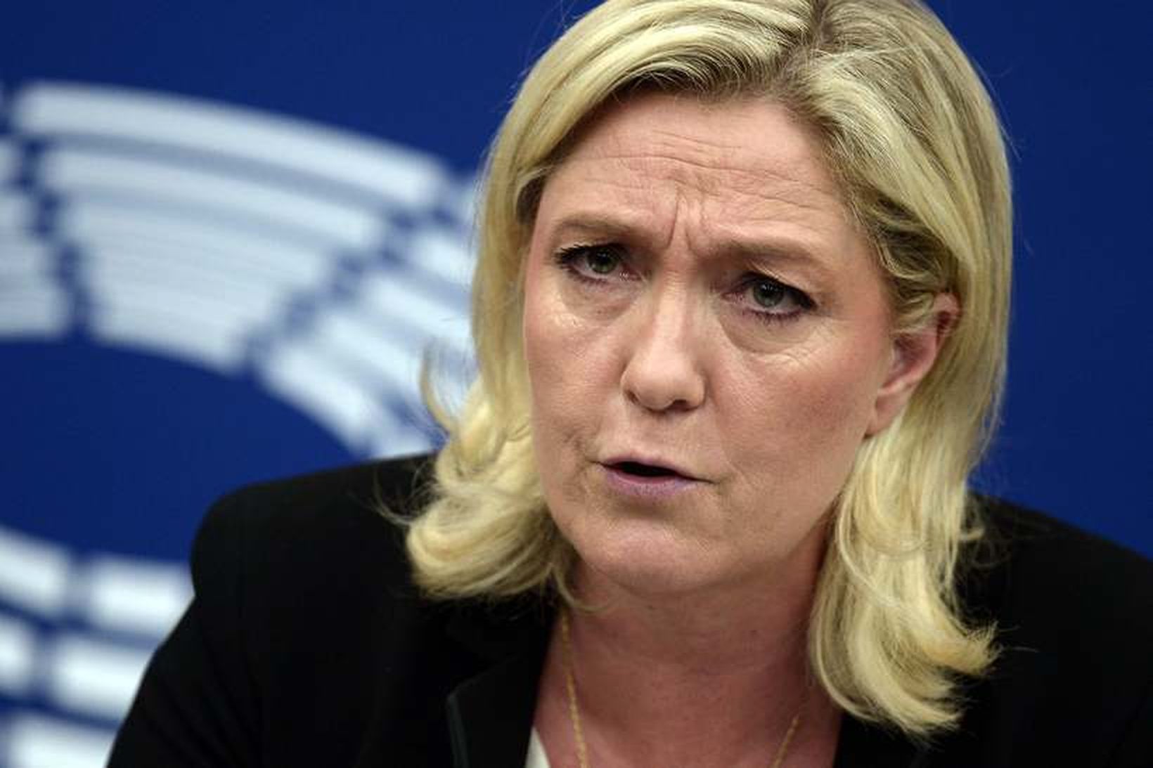 Marine Le Pen formaður Front National