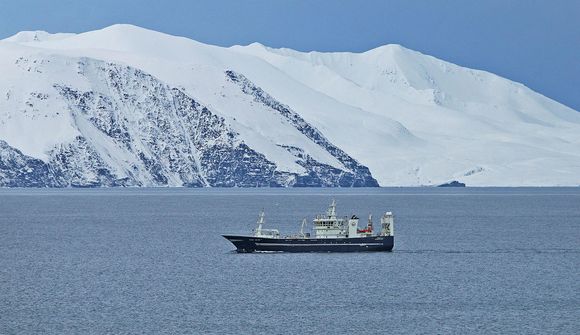 Loðnufrystingu lokið í Neskaupstað