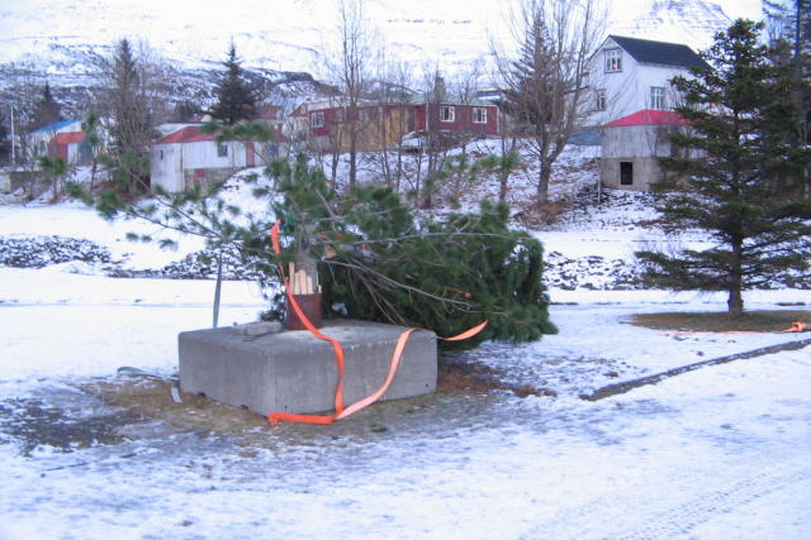 Það fer lítið fyrir hinum eina sanna jólaanda hjá þeim …