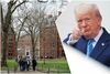 Hyggst afturkalla alla samninga við Harvard