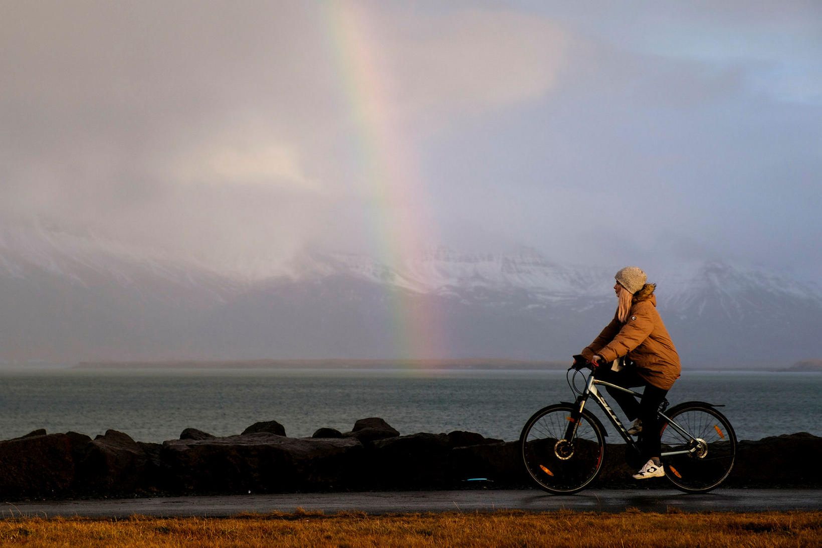 Frá því í janúar á þessu ári hafa verið greiddir …