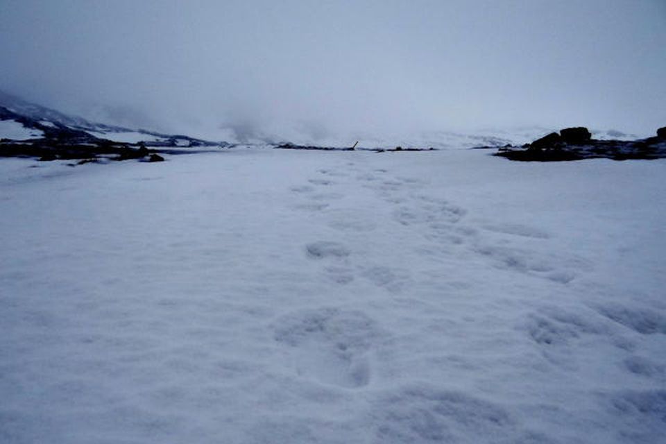 Ekki er ólíklegt að þarna séu einfaldlega spor eftir snjóþrúgur.