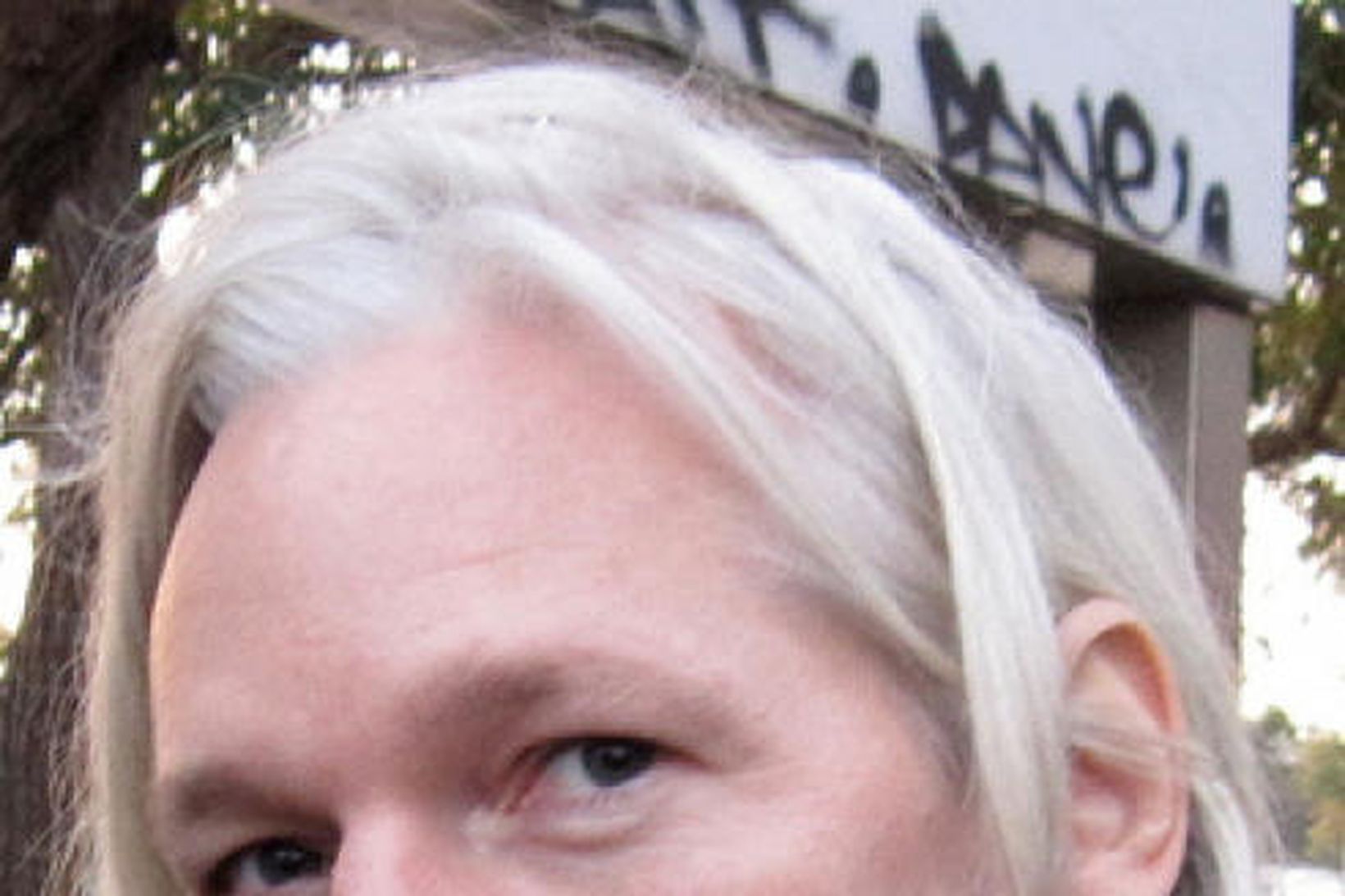 Julian Assange, stofnandi WikiLeaks