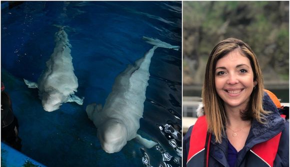 Mikilvægt að sýna ábyrgð í miðakaupum