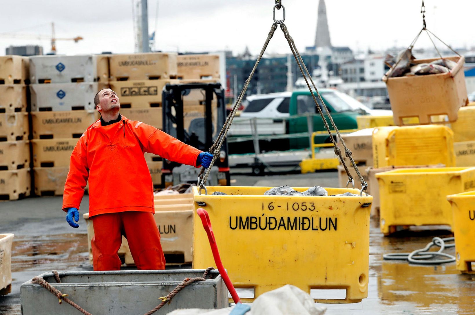 Opnað fyrir umsóknir um nýliðakvóta