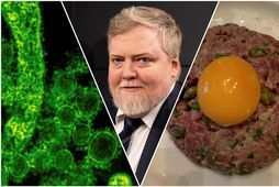 Sigmundur Davíð Gunnlaugsson þarf nauðsynlega á kennslu í matreiðslu að halda.