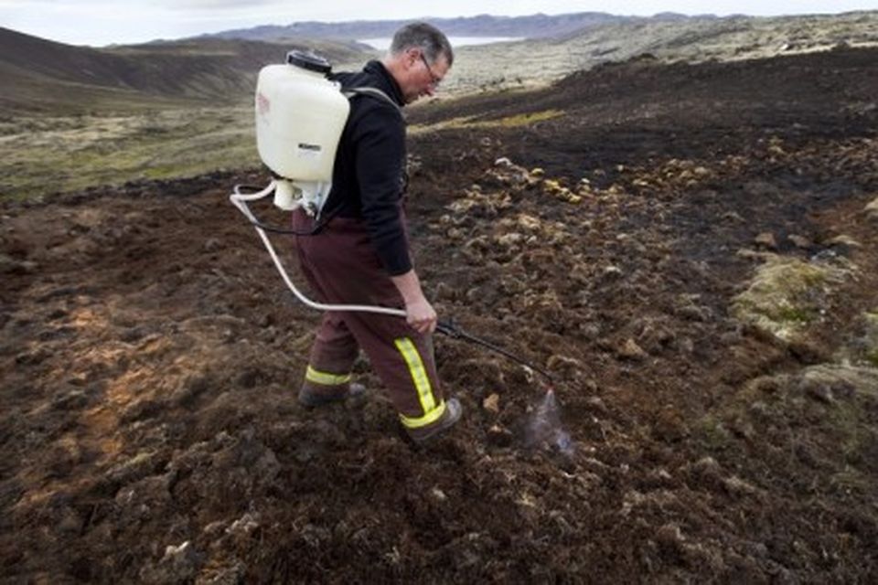 Umrætt svæði er í 420 metra hæð yfir sjó og uppi á fjalli. Leiðin þangað …