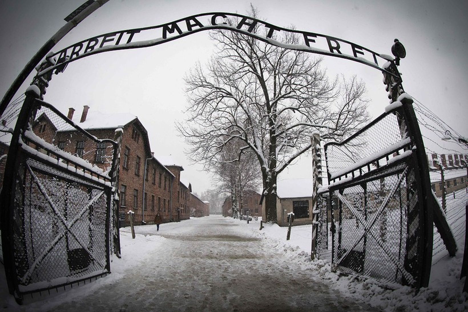 Fólkið slátraði lambi við Auschwitz.