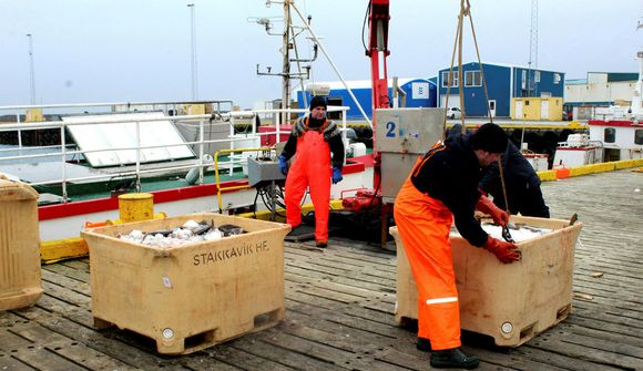 Framboði Heiðveigar Maríu hafnað