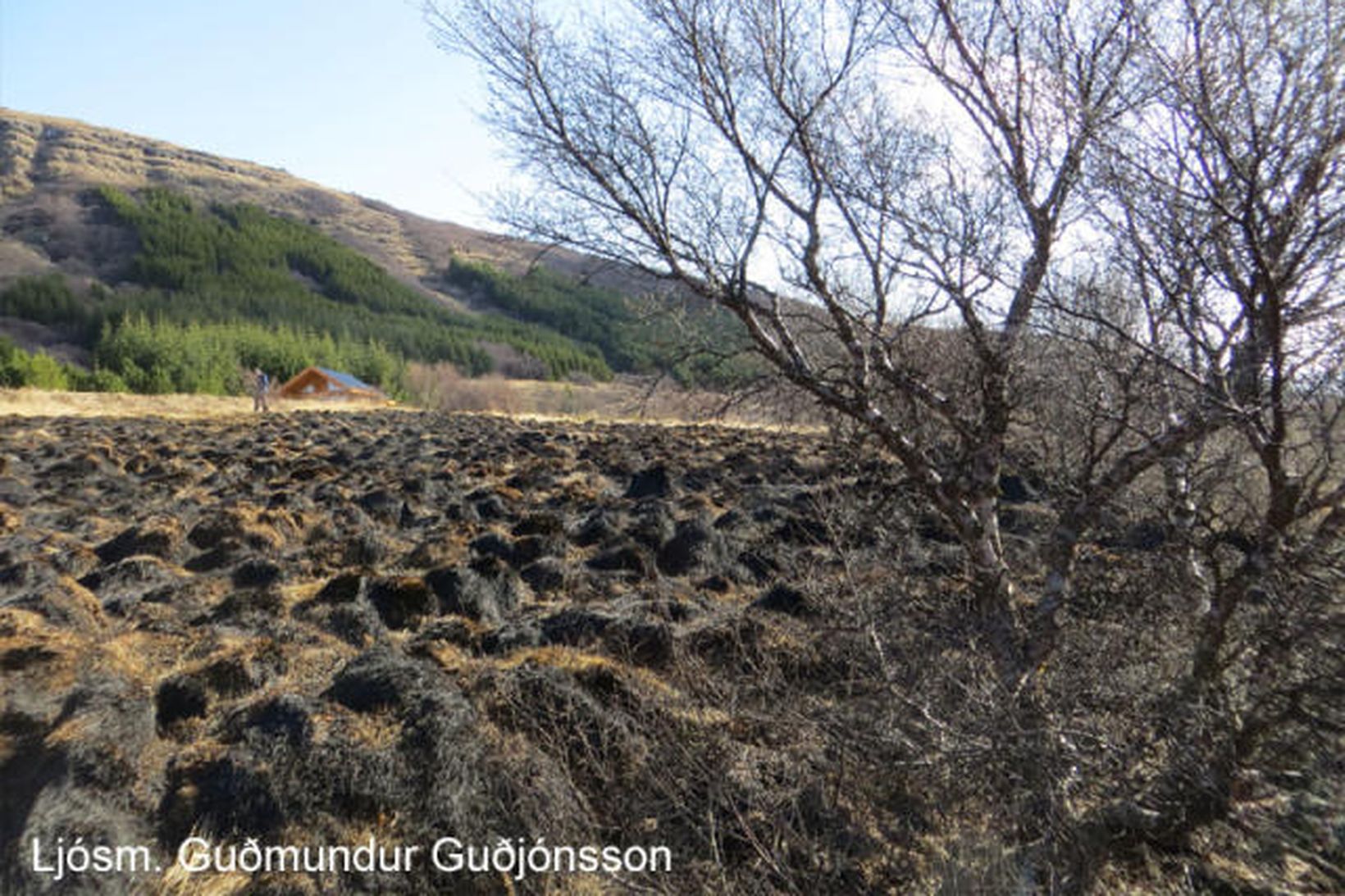 Brunnið graslendi í Hvammi í Skorradal, skammt undan eru sumarbústaðir …