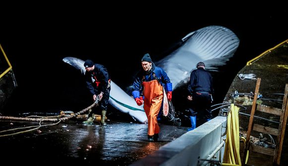 „Algjör tímaskekkja í nútímasamfélagi“