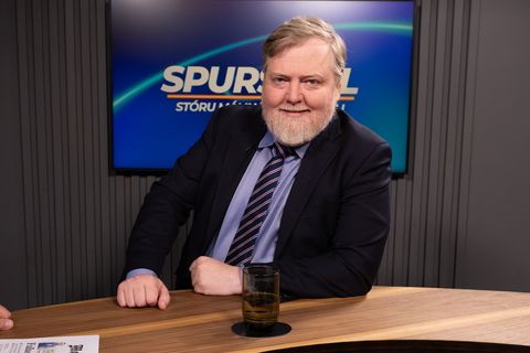 Íslenskir íkornar