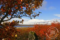 Haustlitir á Þingvöllum